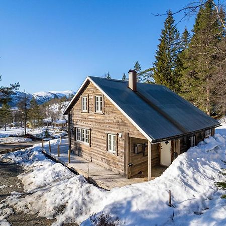 Norgesferie I Sirdal Villa Sinnes Exterior photo