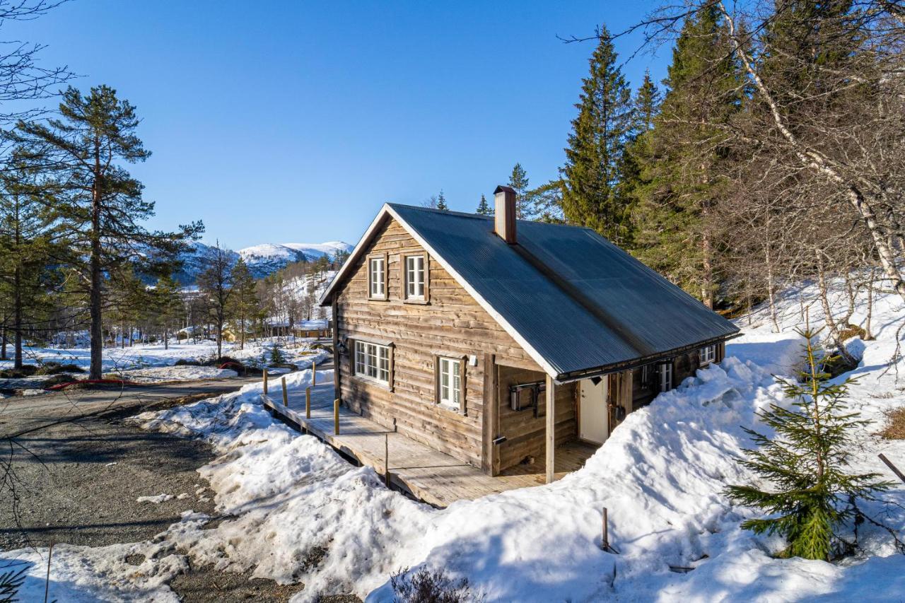 Norgesferie I Sirdal Villa Sinnes Exterior photo